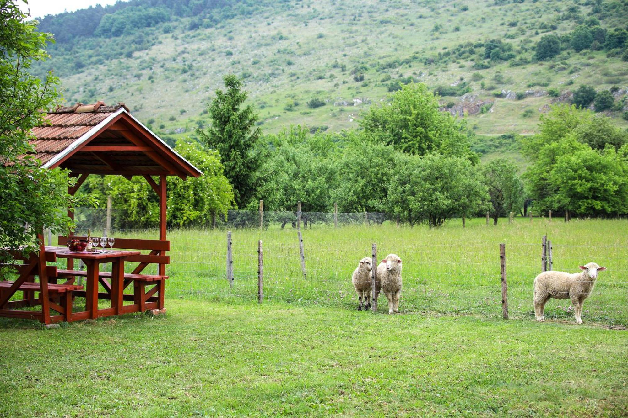 Vad-Lak Vendeghaz Aggtelek Exterior foto