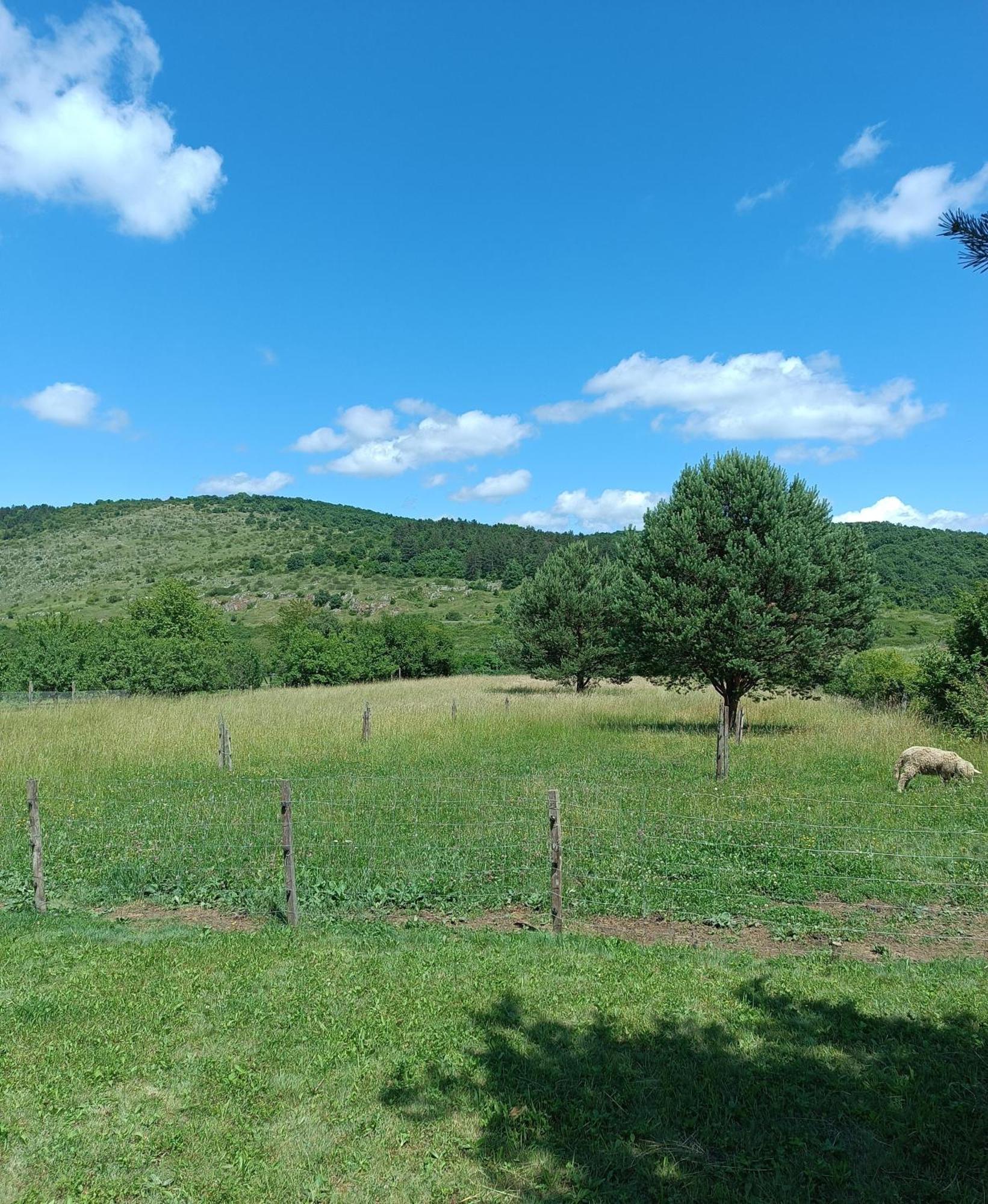 Vad-Lak Vendeghaz Aggtelek Exterior foto